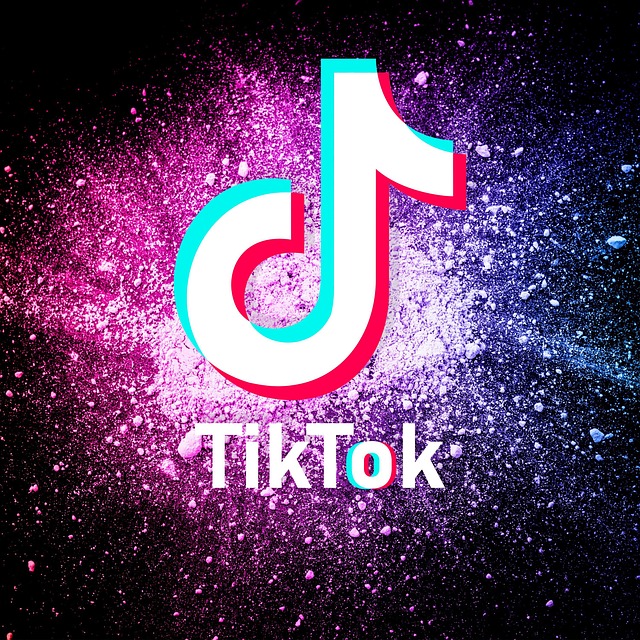 tiktok-7199389_640.jpg